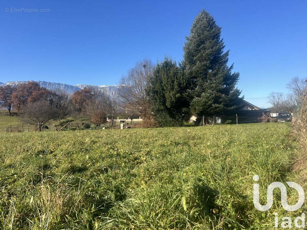 Photo 3 - Terrain à LA CHAPELLE-BLANCHE