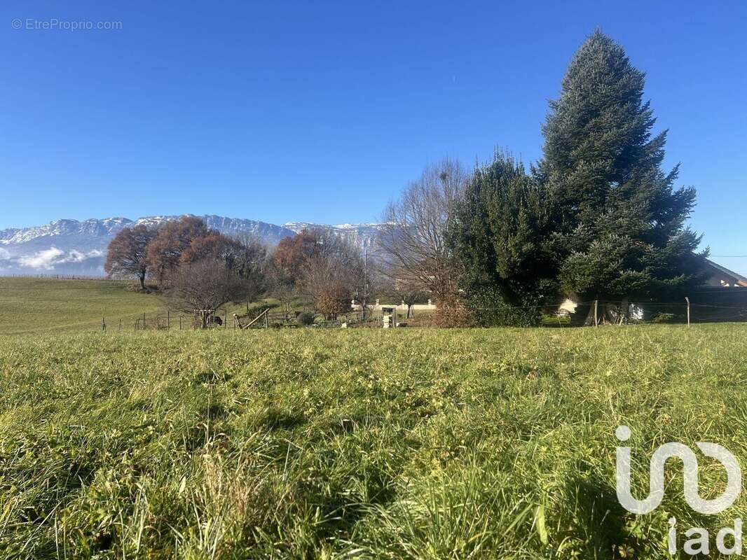 Photo 6 - Terrain à LA CHAPELLE-BLANCHE