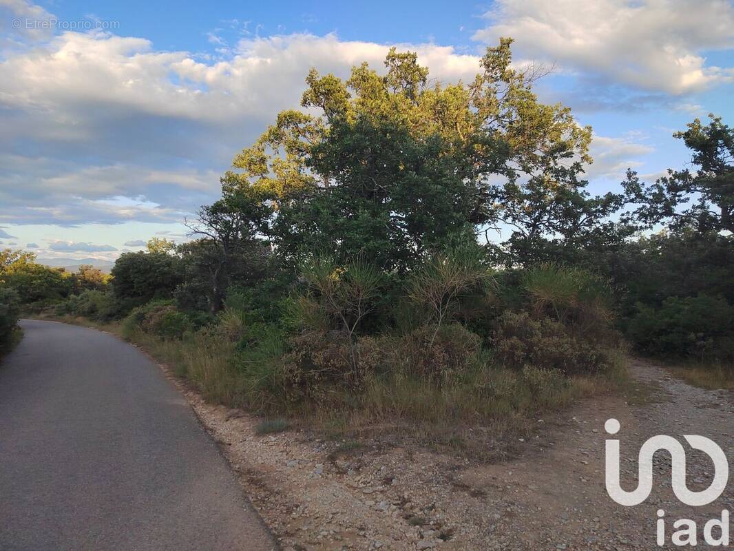 Photo 1 - Terrain à LAGARDE-PAREOL
