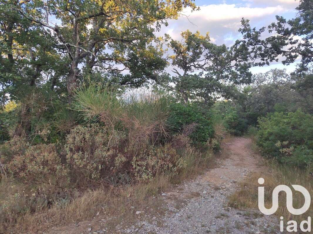Photo 2 - Terrain à LAGARDE-PAREOL