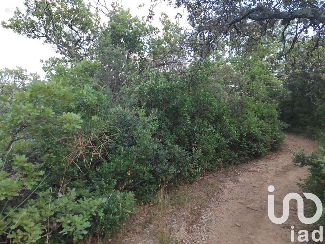 Photo 3 - Terrain à LAGARDE-PAREOL