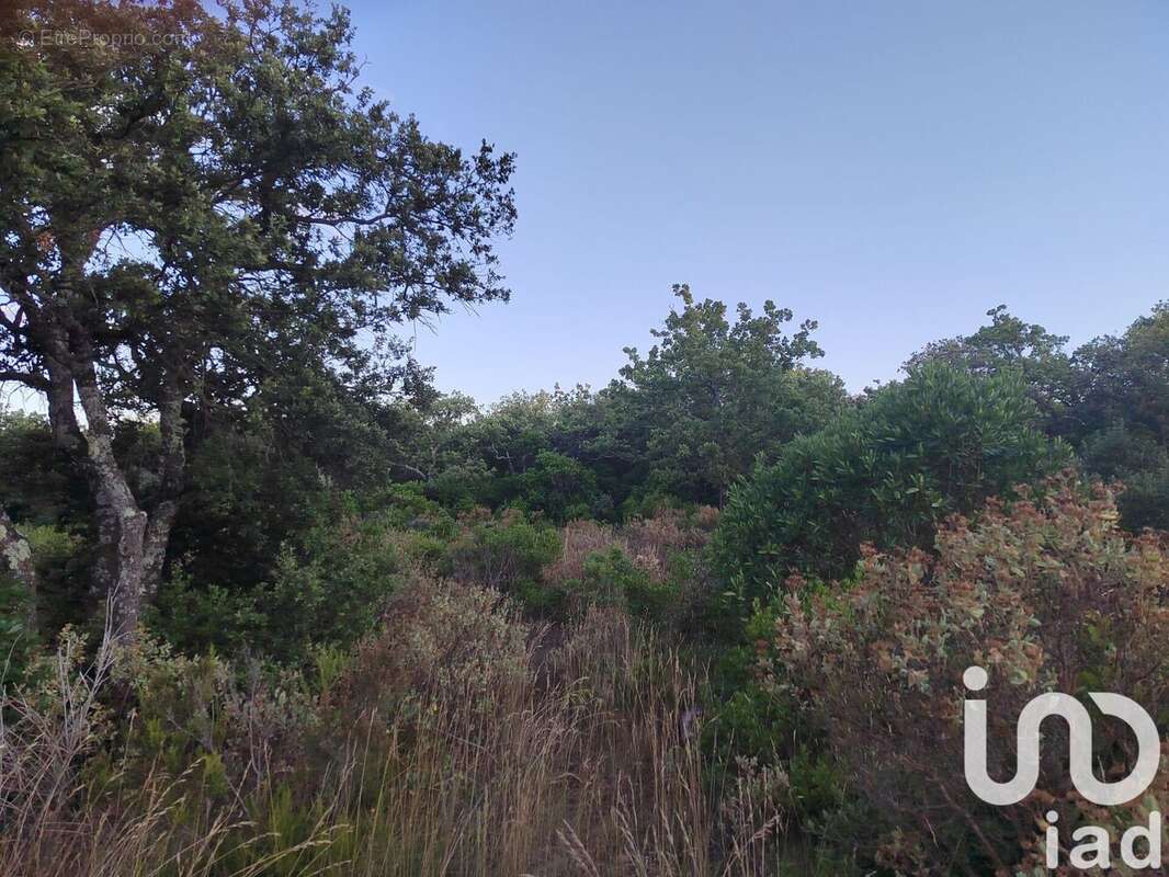 Photo 4 - Terrain à LAGARDE-PAREOL