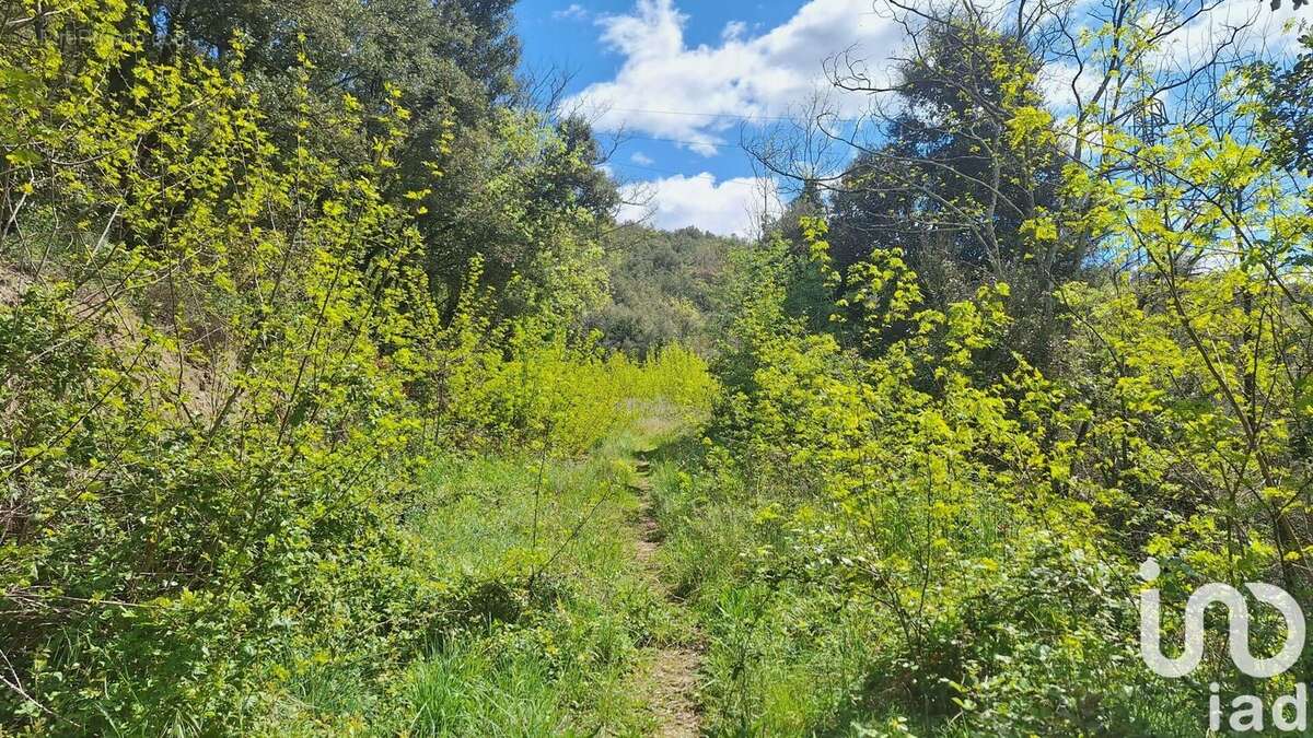 Photo 6 - Maison à MONTFERRER