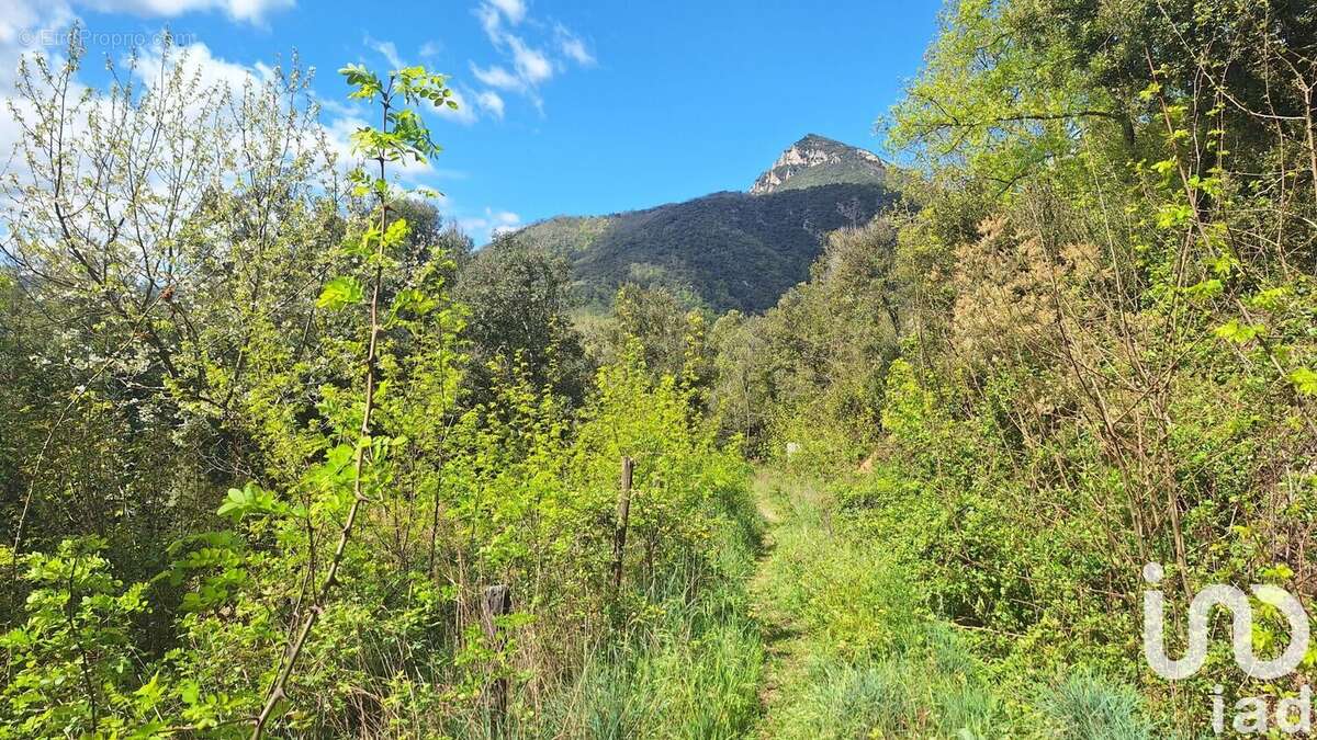 Photo 7 - Maison à MONTFERRER