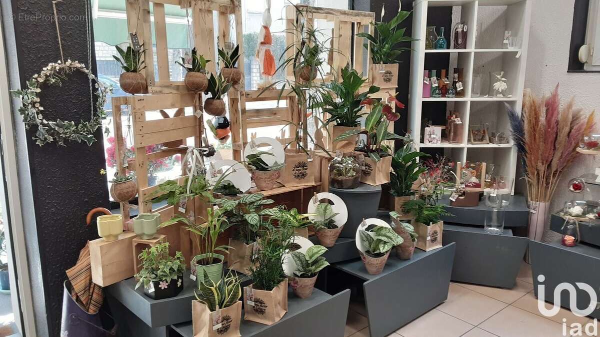 Photo 3 - Commerce à DIJON