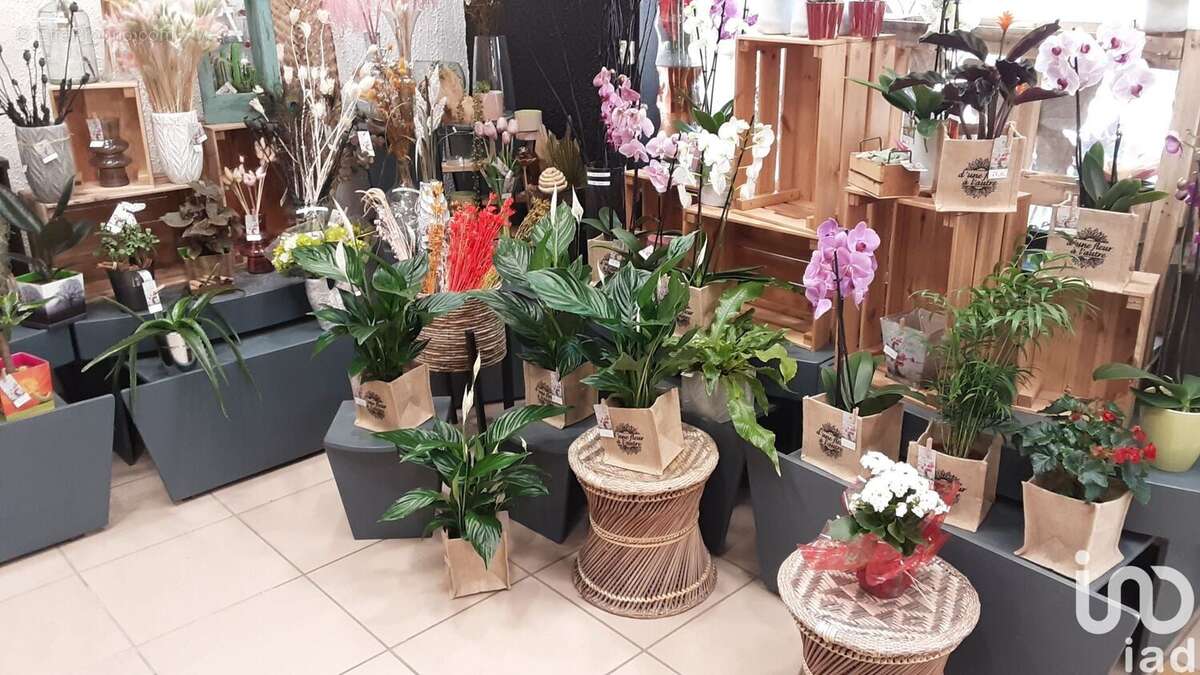 Photo 5 - Commerce à DIJON