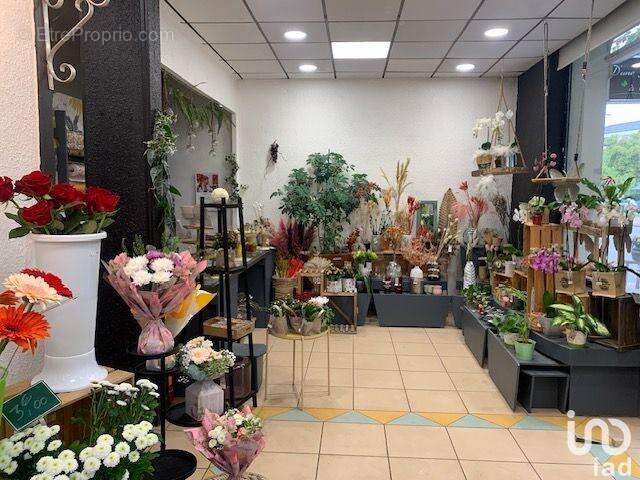 Photo 6 - Commerce à DIJON