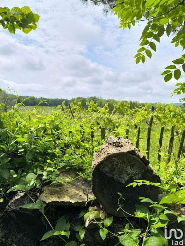 Photo 2 - Maison à MONFAUCON