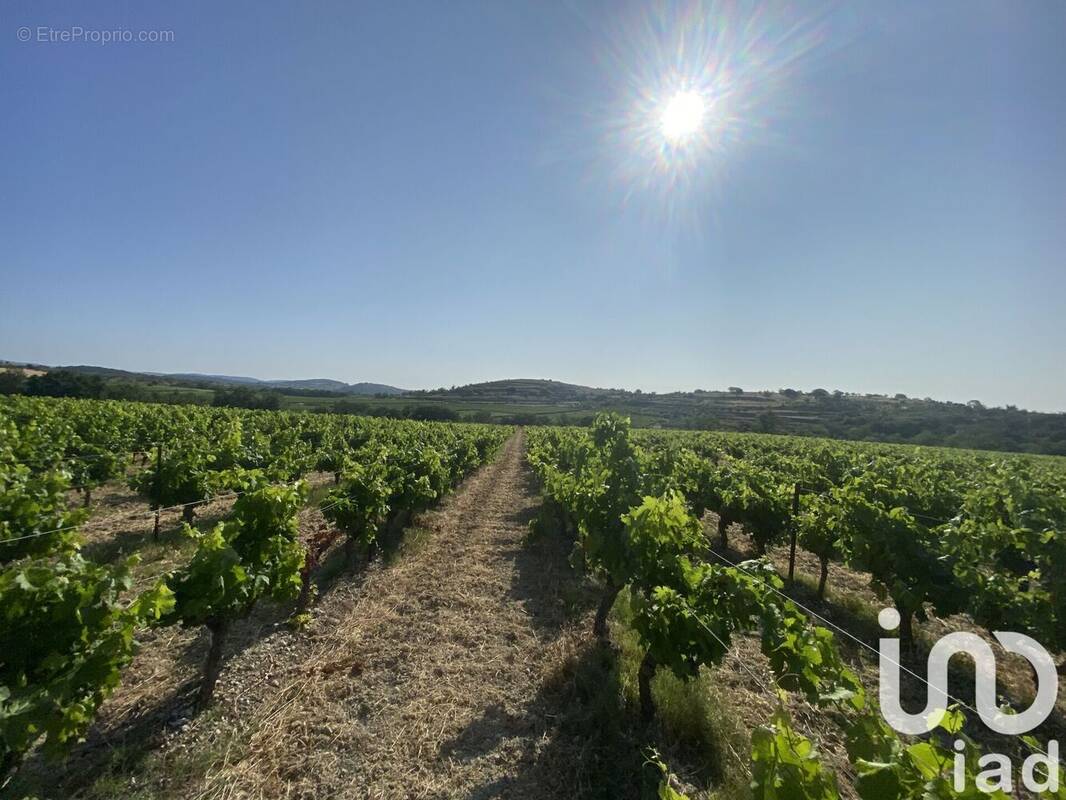 Photo 1 - Terrain à POUZOLLES