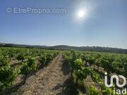 Photo 1 - Terrain à POUZOLLES