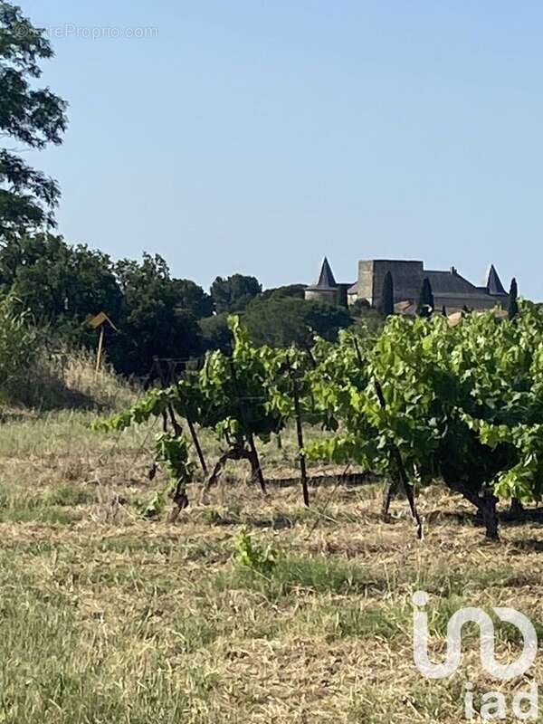 Photo 2 - Terrain à POUZOLLES