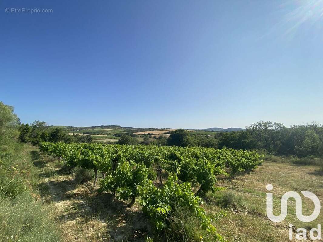 Photo 8 - Terrain à POUZOLLES