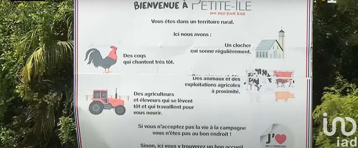 Photo 3 - Terrain à PETITE-ILE