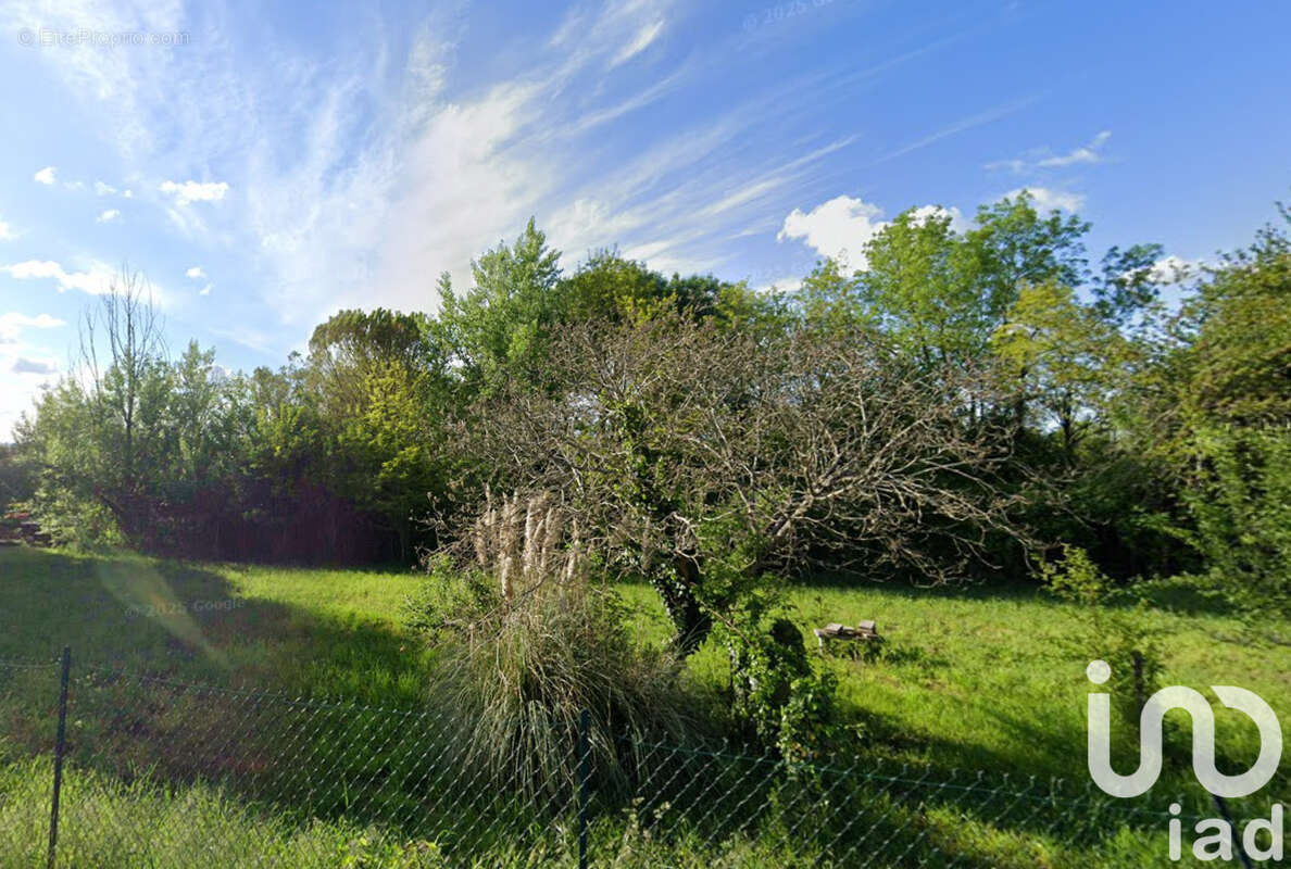 Photo 2 - Terrain à SAINT-ROMAIN-LA-VIRVEE