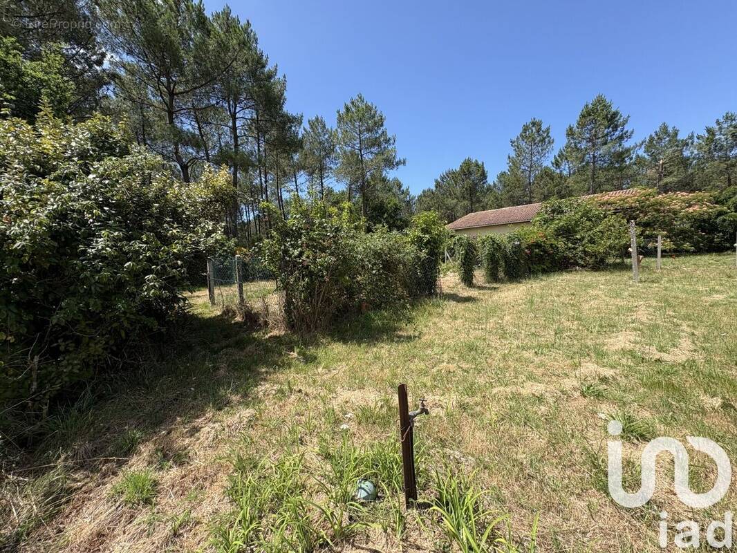 Photo 1 - Maison à LE PORGE