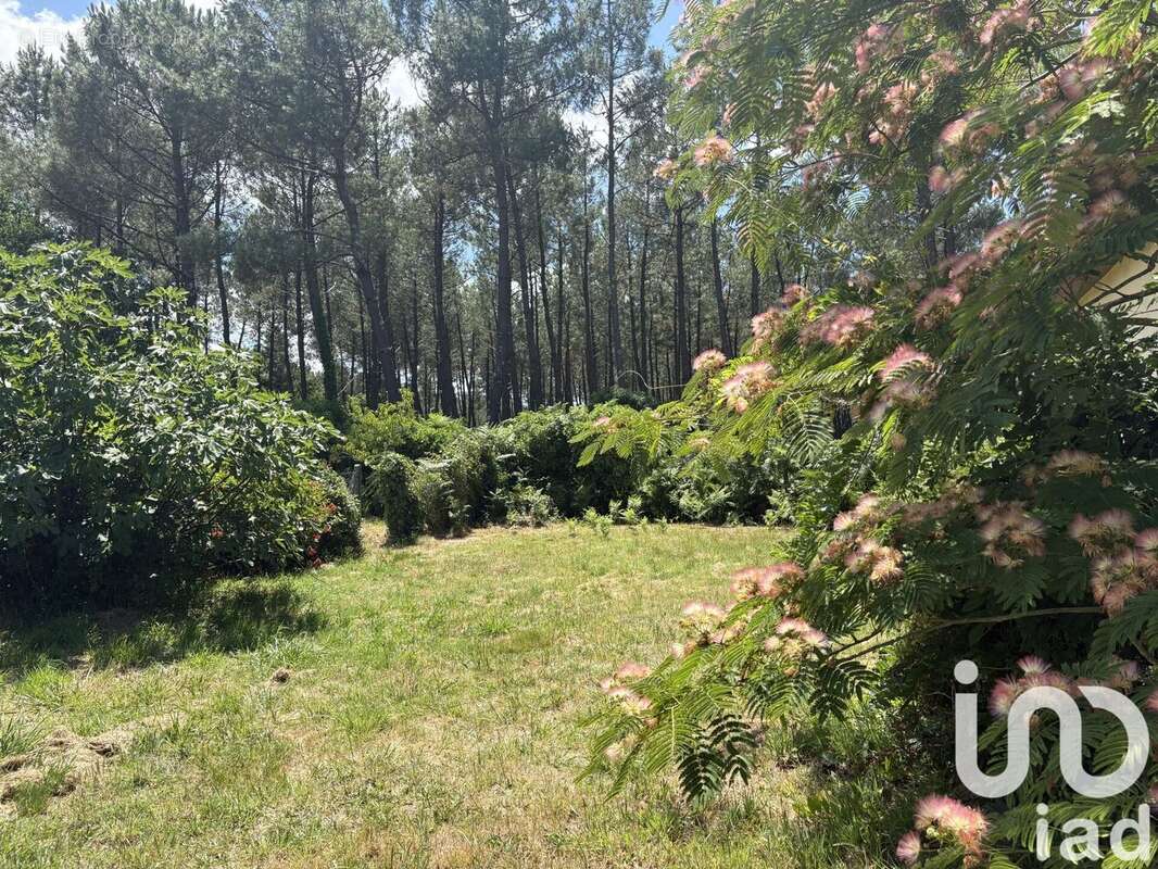 Photo 4 - Maison à LE PORGE