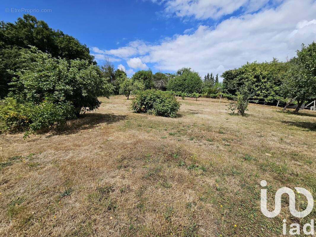 Photo 1 - Terrain à SAINT-MARTIN-DES-MONTS