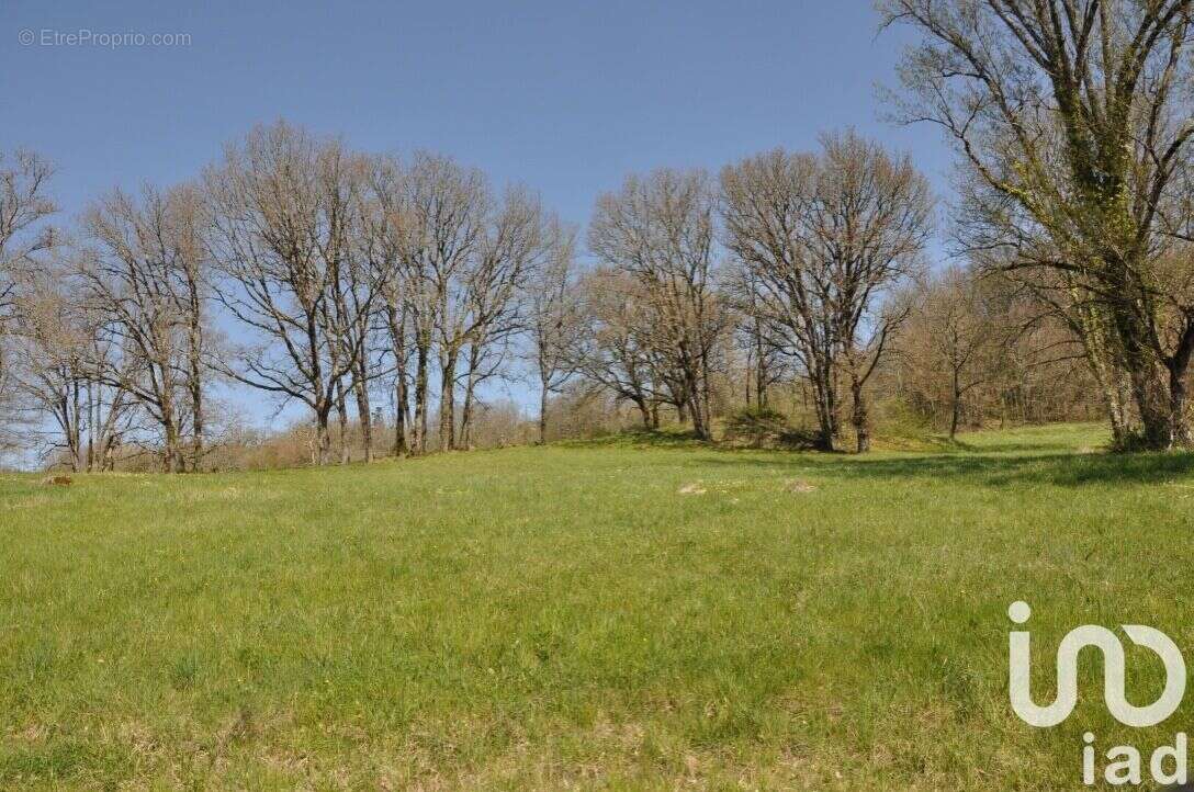 Photo 3 - Terrain à CAMPAGNAC-LES-QUERCY