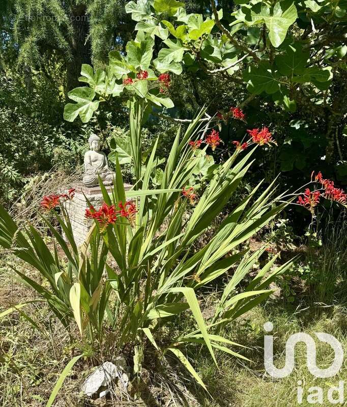 Photo 4 - Maison à LINAS