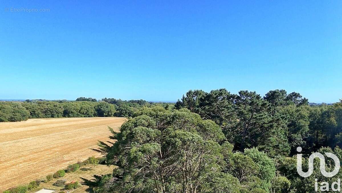 Photo 5 - Terrain à SAINT-GILDAS-DE-RHUYS