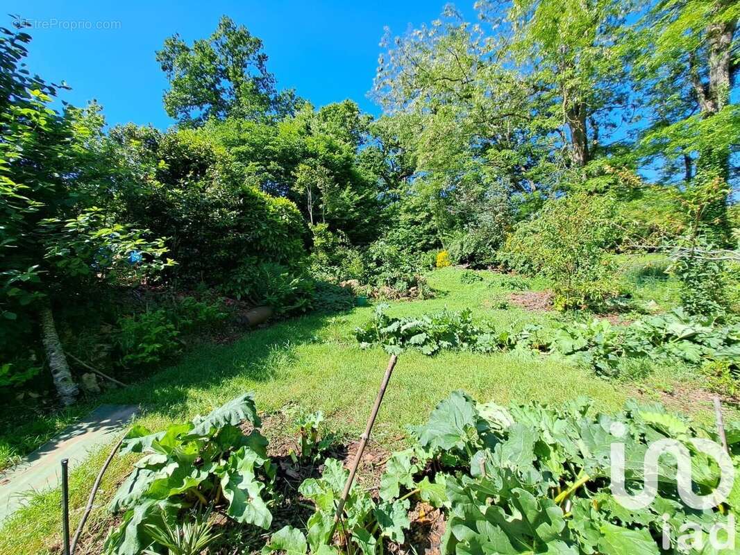 Photo 2 - Terrain à REDENE