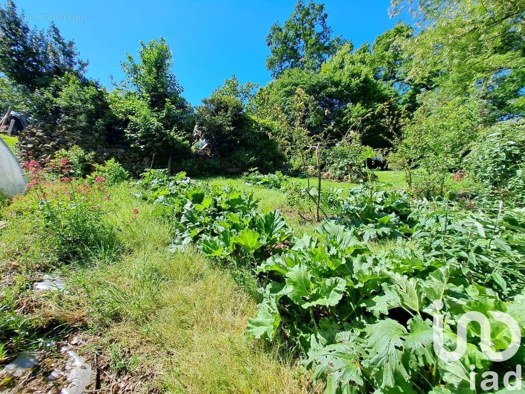 Photo 3 - Terrain à REDENE