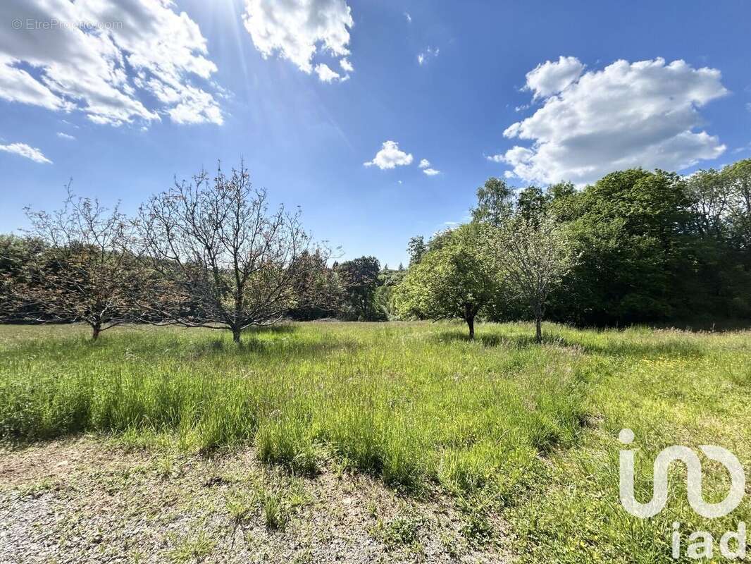 Photo 2 - Maison à MONTAIGNAC-SAINT-HIPPOLYTE