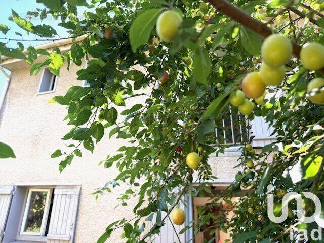 Photo 1 - Maison à CHANTELOUP-LES-VIGNES