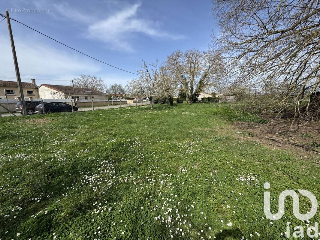 Photo 1 - Terrain à AMBERRE