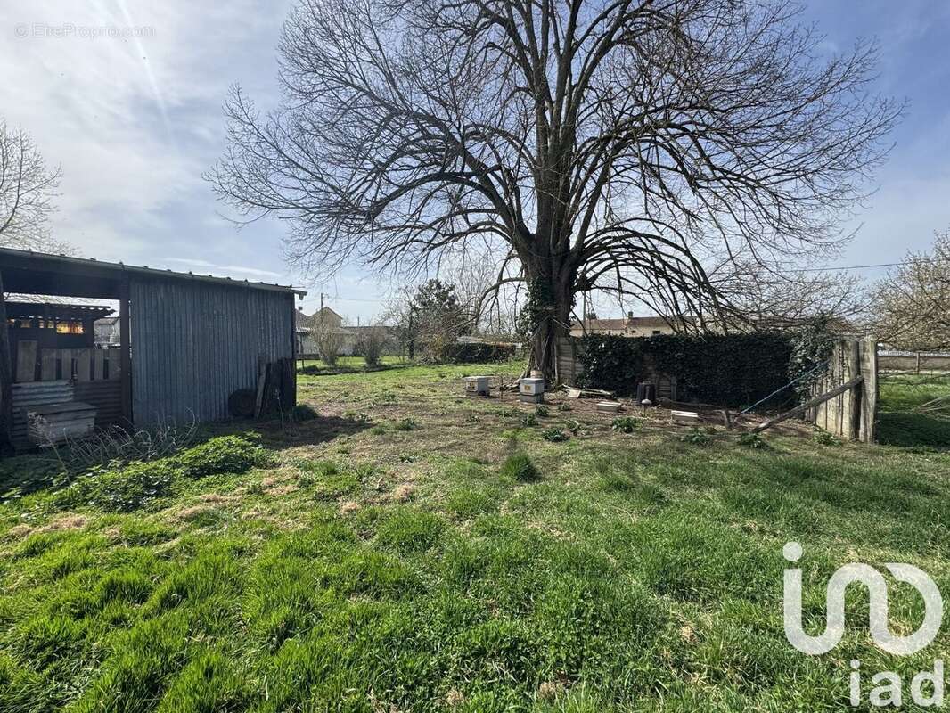 Photo 2 - Terrain à AMBERRE