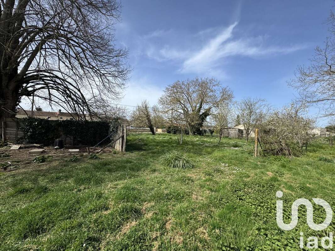 Photo 5 - Terrain à AMBERRE