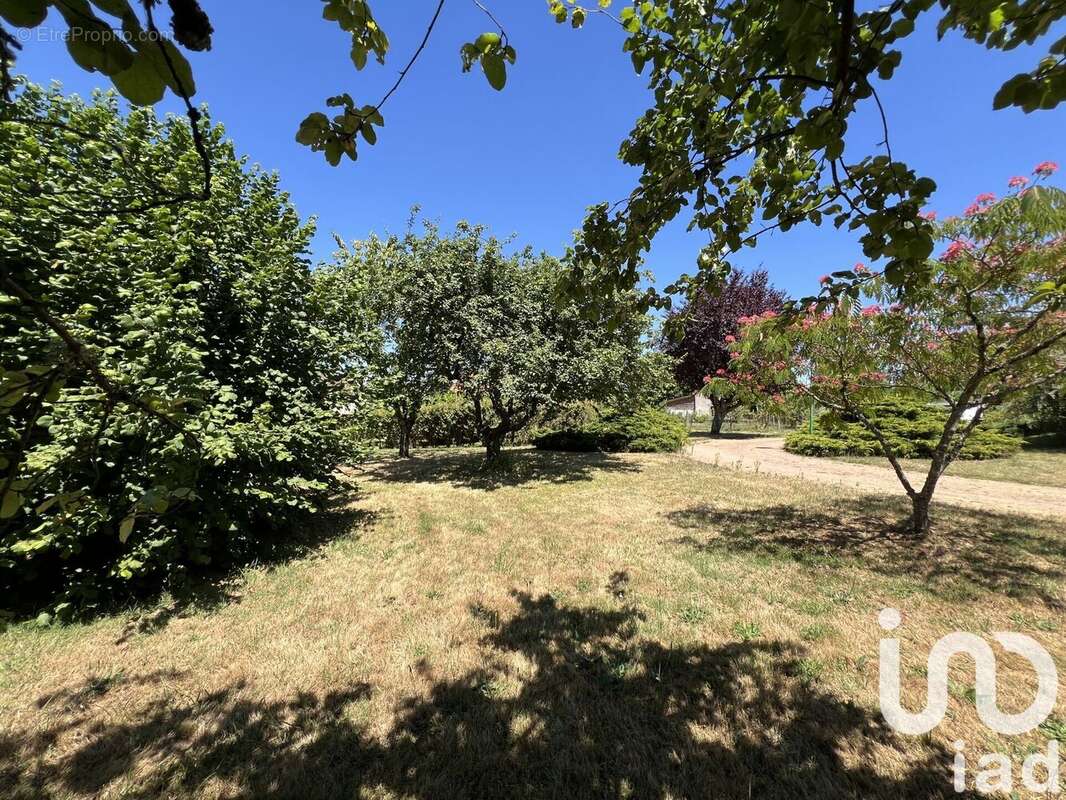 Photo 4 - Maison à BELLERIVE-SUR-ALLIER