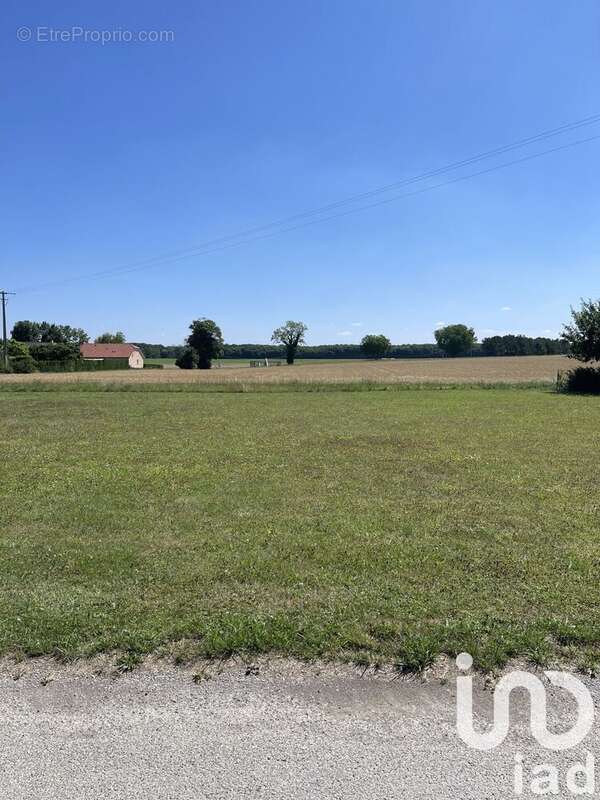 Photo 2 - Terrain à SOMME-VESLE