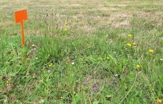 Terrain à ARTHON-EN-RETZ