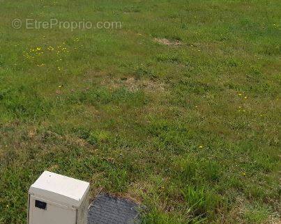 Terrain à SAINT-PERE-EN-RETZ