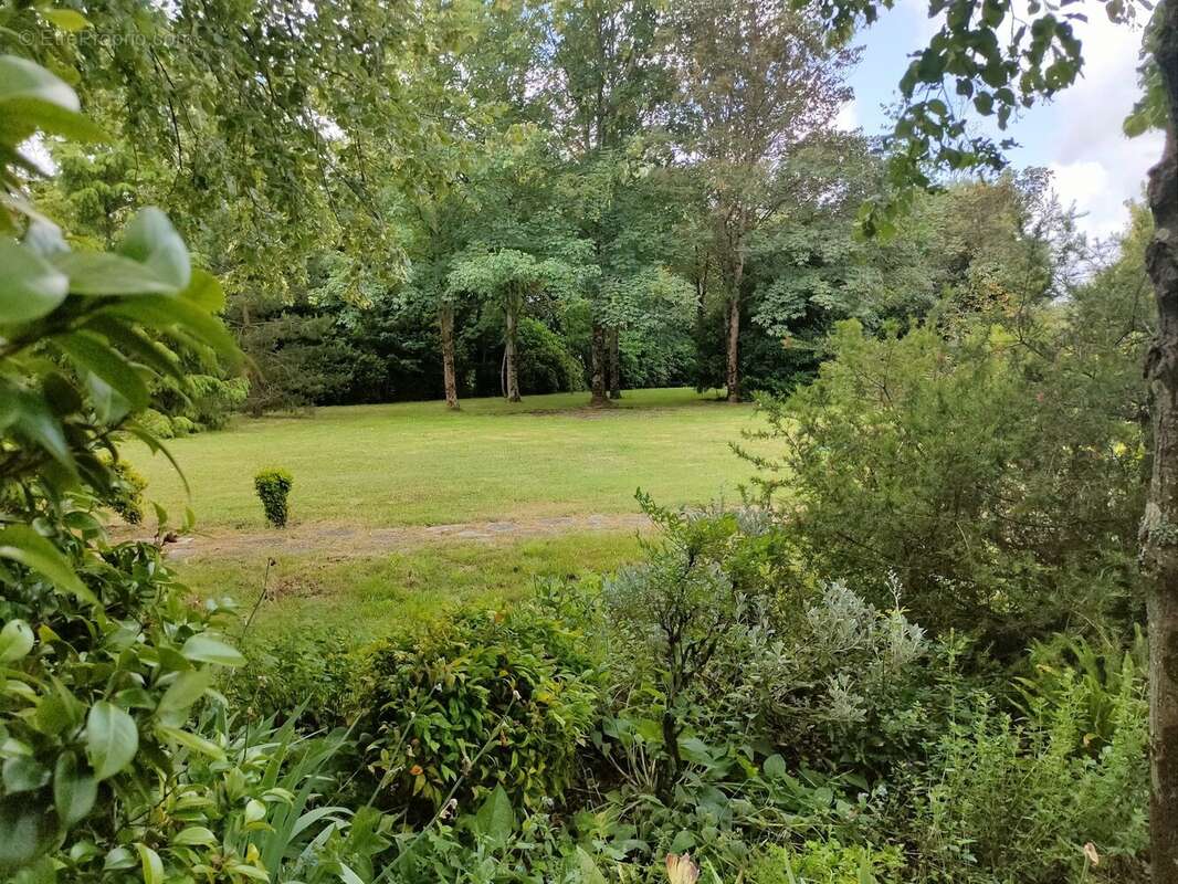 Maison à BOIS-DE-CENE