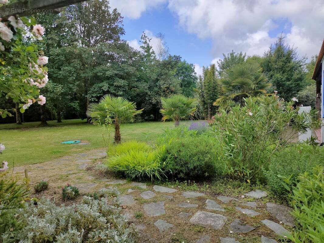 Maison à BOIS-DE-CENE