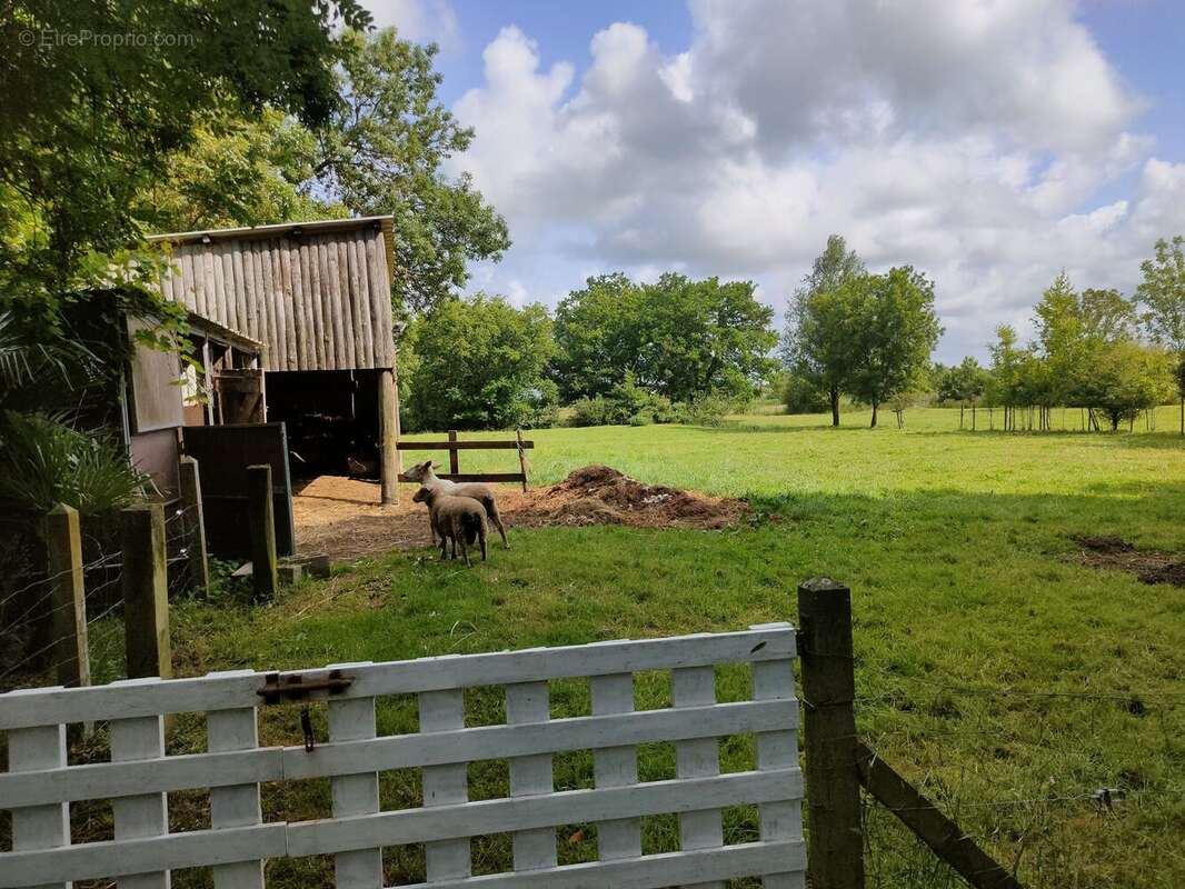 Maison à BOIS-DE-CENE