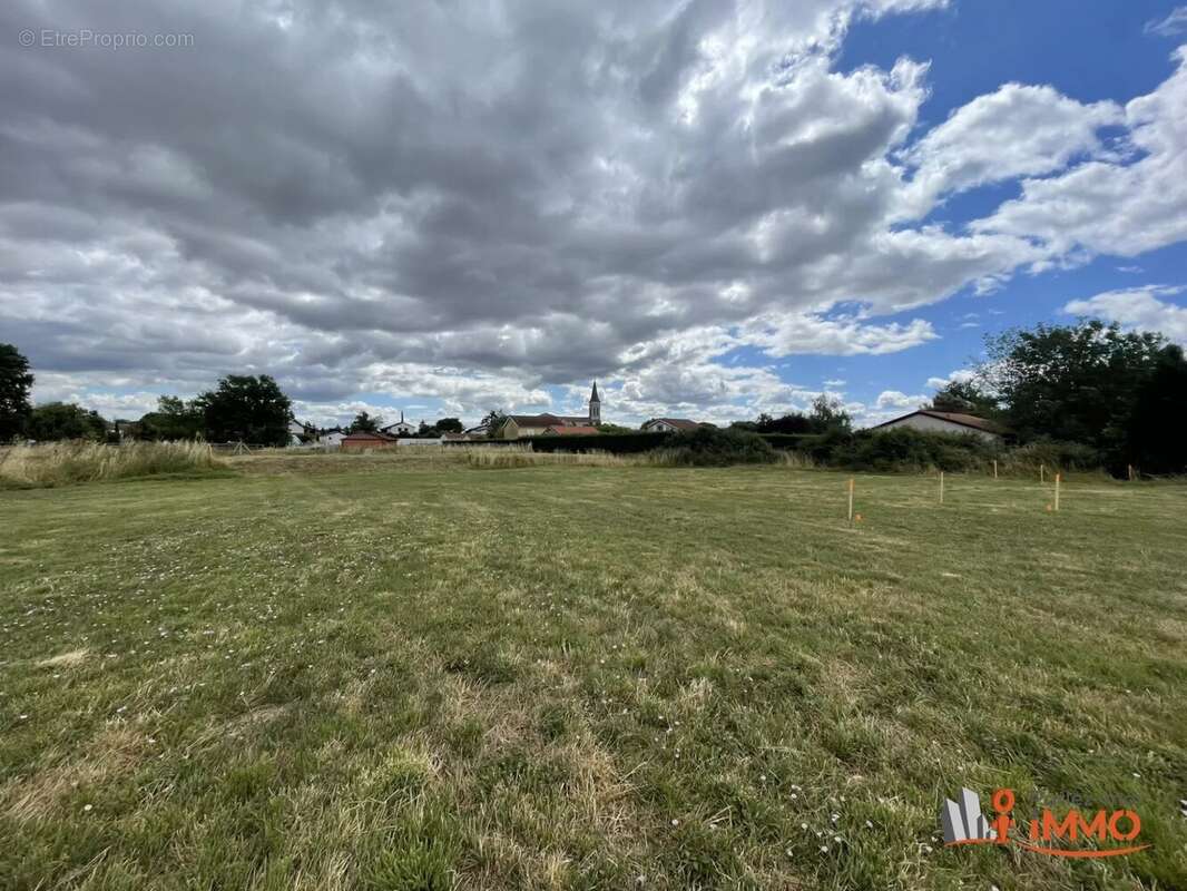 Terrain à CHALAIN-LE-COMTAL