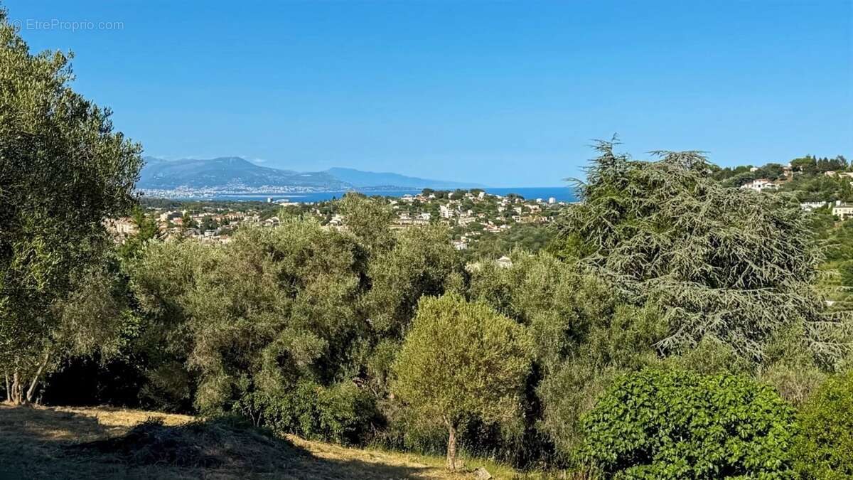 Terrain à VALLAURIS