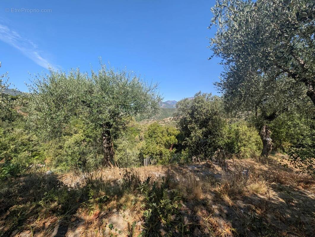 Terrain à SAINT-BLAISE