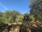 Terrain à SAINT-BLAISE