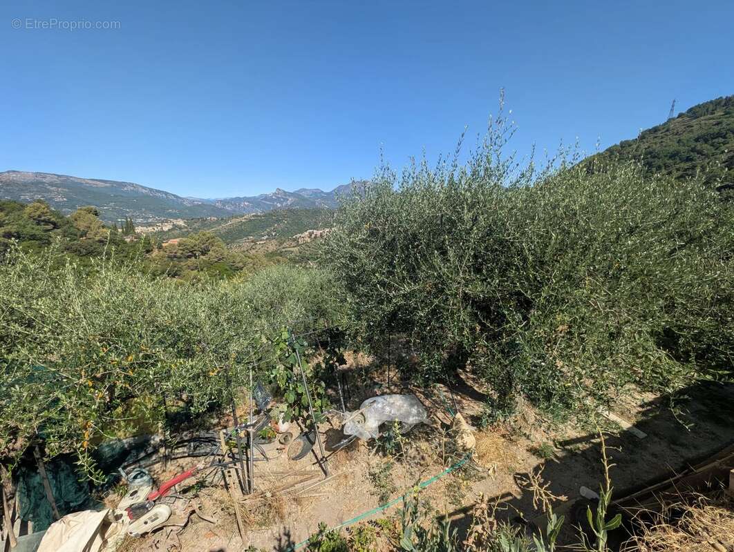 Terrain à SAINT-BLAISE