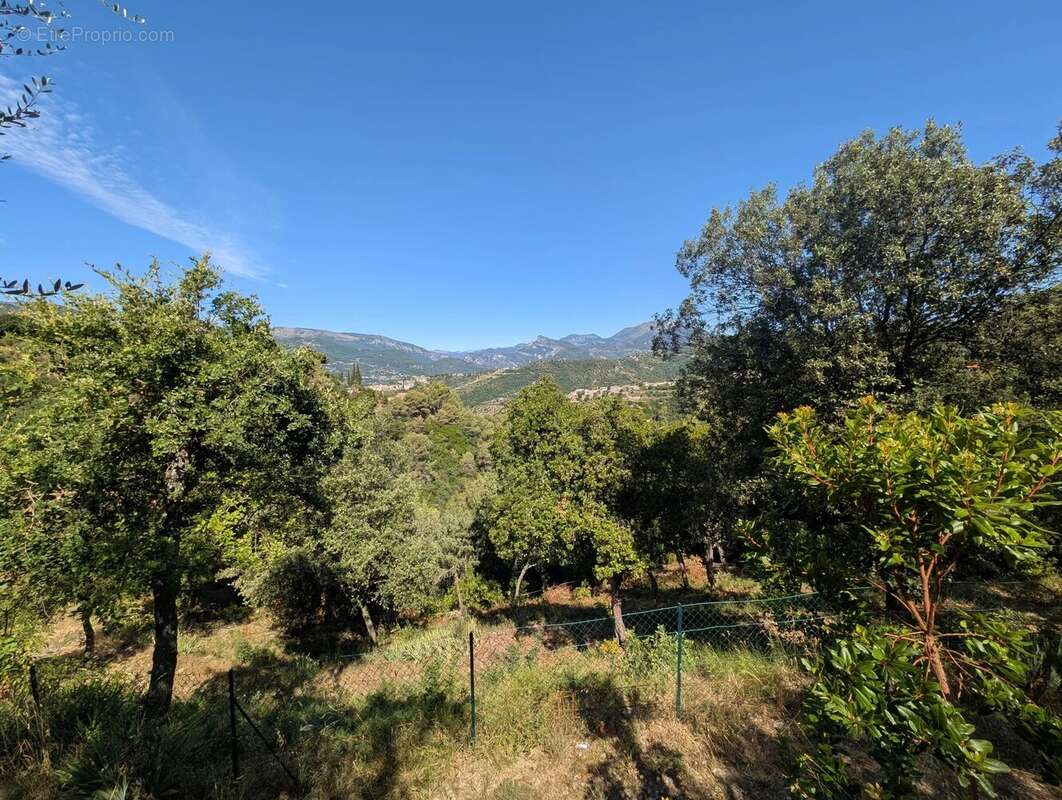 Terrain à SAINT-BLAISE