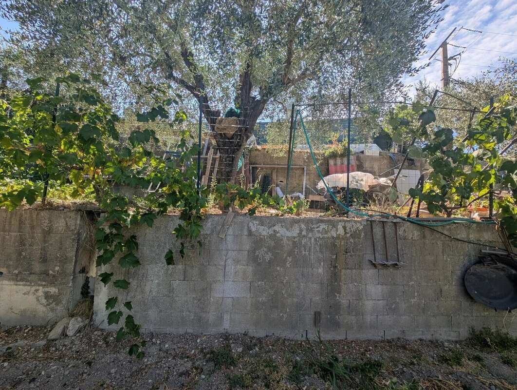 Terrain à SAINT-BLAISE