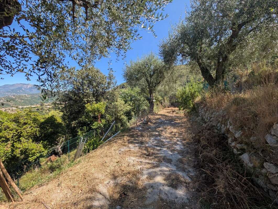 Terrain à SAINT-BLAISE