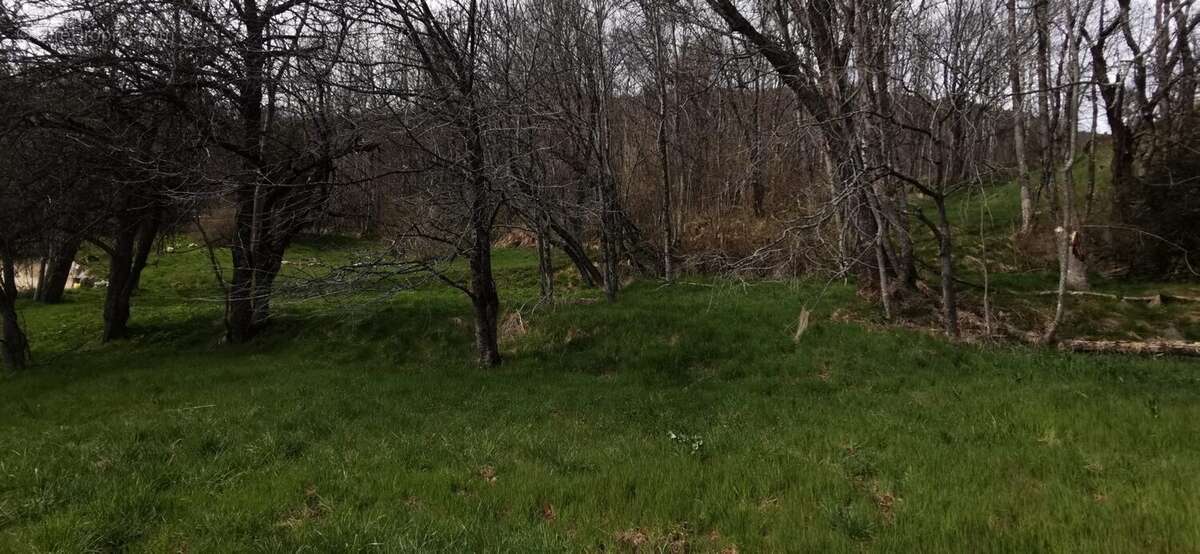 Terrain à LE FRENEY-D&#039;OISANS