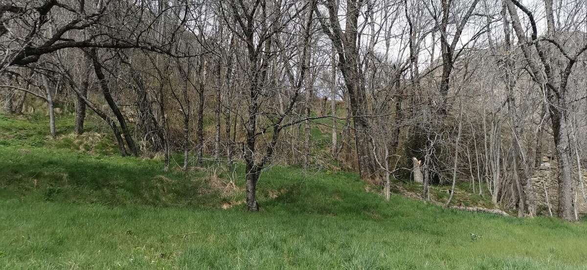 Terrain à LE FRENEY-D&#039;OISANS