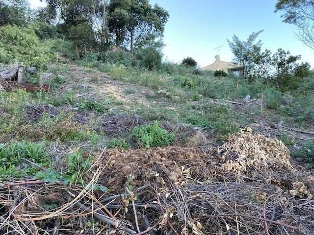 Terrain à MANDELIEU-LA-NAPOULE