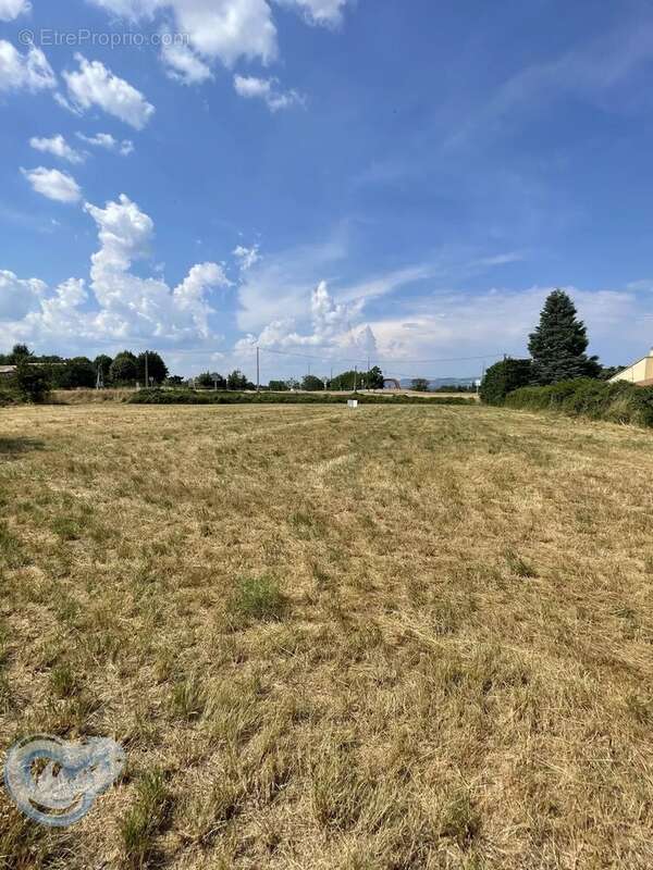 Terrain à SAINT-CHRISTOL